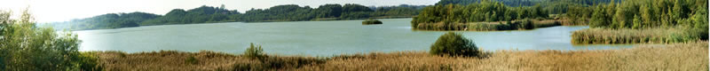 Ferienhäuser am Naturschutzsee in der Müritz - Region