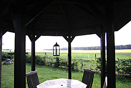 Ausblick in die Müritz Natur