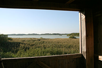 Ferienhaus am See