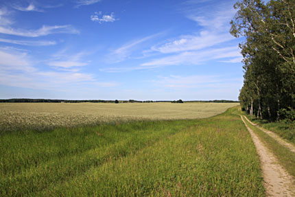 Wandertouren nahe dem Mritz Ferienhaus