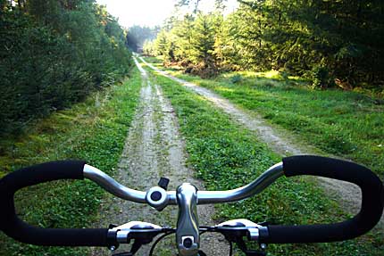 Radtouren im Wald am Ferienhaus. Fahrradverleih