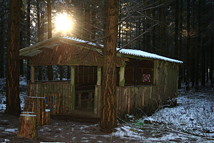 Hütte im Wald am Ferienhaus